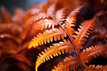 Wall Mural - Close-up of a fern in autumn colors.