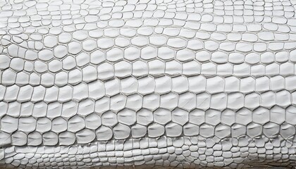 white crocodile scales skin texture