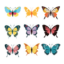 Nine Colorful Butterfly Illustrations Displayed Against Solid Background. Collection Features Various Butterfly Species Diverse Wing Patterns Hues. Artistic Representation Butterflies Suitable