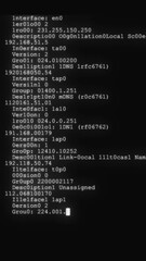Wall Mural - fast long scrolling programming security hacking code data flow stream nice cool vertical 9x16 video