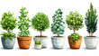 © Wasin Arsasoi - Set of green house plants, flowers and trees in pots for decoration.