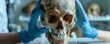 © Sirirat - A forensic anthropologist examines a skull in a laboratory.