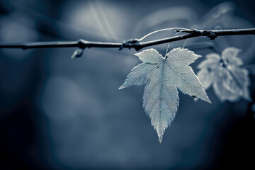 Poster - AI generated illustration of a frosty leaf resting on a branch