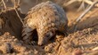 Armored Insectivore: Pangolin Feeding on Ants in African Habitat