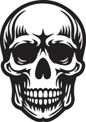 Human Skull with Teeth vector illustration.