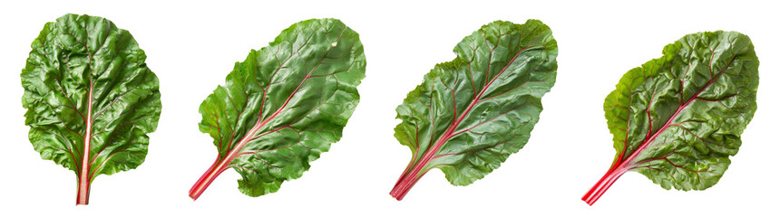 Wall Mural - Collection of swiss chard green herbs vegetable cutout png isolated on white or transparent background
