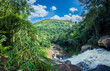 Lush Green Rainforest Landscape with Cascading River