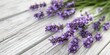 Beautiful Bunch of Lavender on a Rustic Wooden Table  with Space for Copy for Mothers Day