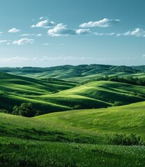 Canvas Print - idyllic green rolling hills landscape