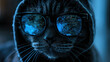 Hooded hacker cat works at computer in dark room, cyber data reflected in glasses. Concept of spy, technology, hack, vulnerability, humor, scam, fraud and virus.