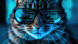 Cat hacker works in dark room, computer code reflected in his glasses. Concept of spy, ransomware, cyber technology, hack, vulnerability, humor, scam, fraud
