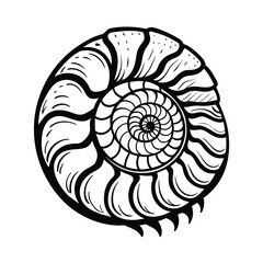 Ammonite (ancient sea shell) black outline in sketch style on white background, vector illustration