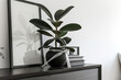 A black ceramic pot with a rubber plant is placed on the sideboard in a modern minimalist style, with books and photo frames next to it. The leaves have white edges that make them look like ribbons.