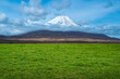 Panoramic view of lush grass on the green field in front of Fuji mountain, Japan.
