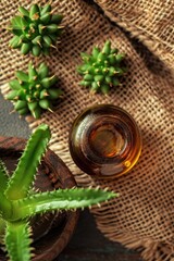 Sticker - cactus essential oil on burlap background