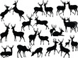 twenty four deer silhouettes isolated on white