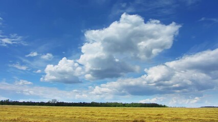 Wall Mural - Landscape with clouds moving over yellow field, time lapse 4k