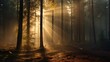 Ethereal atmosphere with sunlight dappling through the trees, Misty Forests with Sun Rays Filtering Through