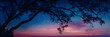 Nature's Palette: A Romantic Symphony between Azure Night Skies and a Dusky Horizon