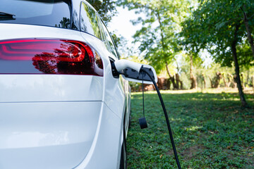 Wall Mural - Close up of electric car inlet with a connected charging cable on a green background..