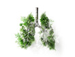 Illustration showing the effects of smoking. Pollution and lung disease concept, smoking causing cancer and multiple illnesses, respiratory system collapse. Green and black lung.