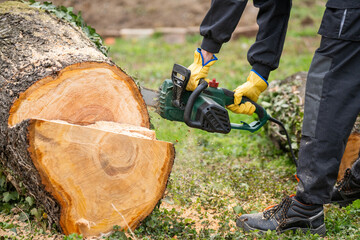 A man in uniform cuts an old tree in the yard with an electric saw.