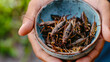 A bowl full of crickets - concept of eating insects as a modern source of food protein