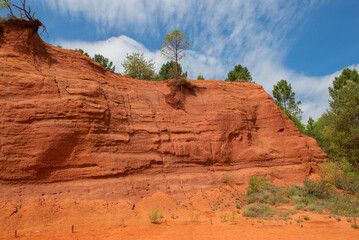 Wall Mural - ochre cliff with tree in old quarry ochre colorado provencal in the luberon in france