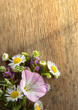 Wild flowers on old grunge wooden background (Aster amellus, Buttercup, Lucerne, Cirsium, Trifolium, convolvulus)