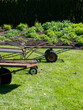 Metal garden carts standing on the lawn in front of a flowerbed in summer garden