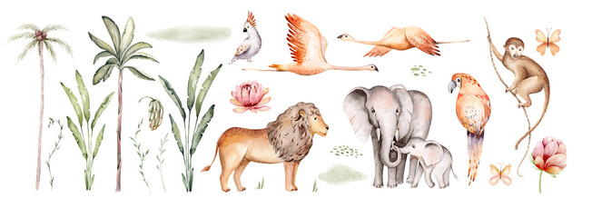 Watercolor illustration of African Animals: elephant and monkey, cockatoo, wild parrot and giraffe, flamingo isolated white background. Safari savannah animals.