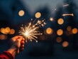 © Bendix - hand holding sparkler lunar new year celebration festive closeup photo