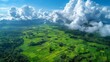 An aerial view of green fields and clouds.