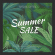 Summer sale. Special offer social media post template. Background for banner or flyer, green palm leaves. Tropical backdrop. Jungle plants. Marketing design with beautiful vector illustration