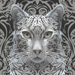 Portrait of silver bengal cat , shades of grey . Forest wild cat , illustration generated with AI 