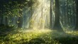 A peaceful forest clearing bathed in soft sunlight filtering through the trees.