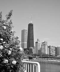 Wall Mural - Big City Skyline along the waterfront