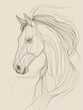 modern line art of a horse, minimalistic design