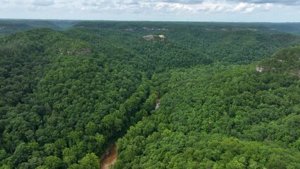 Wall Mural - aerial drone view over kentucky forest