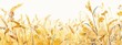 watercolor wheat field, white background, light beige and gold colors,