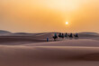 Tourists in the Sahara Desert on a camel caravan