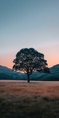 Poster - Lonely Tree in Field at Sunset