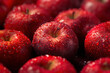 Red apples with water drops, close-up, shallow depth of field