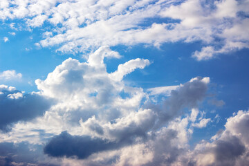 Wall Mural - white cumulus clouds on a blue sky. beautiful nature background in evening light