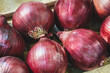 A bunch of red onions are piled on top of each other. The onions are fresh and ready to be used in a meal