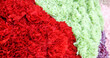 Bouquet of many colorful carnation flowers
