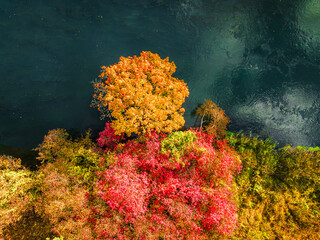 Wall Mural - Autumn leaves above the Brda River. Nature in Poland, Europe.