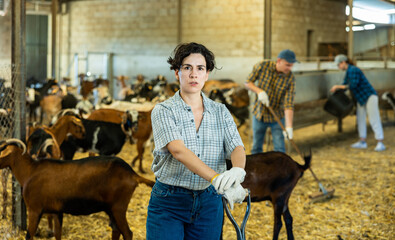 Wall Mural - Successful Hispanic woman farmer, breeder of small cattle, posing in barn against background of herd of domestic goats