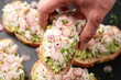 Crab meat and smashed avocado and radishes Sourdough bread toasts