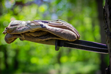 Tactical gloves on top of a tactical knife with a blade stuck in a tree.
Military ammunition, tactical equipment. Soldiery.